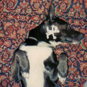 Meet your Posher, T posh